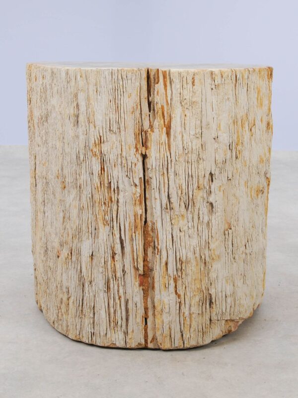 Side table petrified wood 48007
