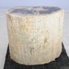 Side table petrified wood 48012