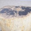 Side table petrified wood 48012