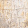 Side table petrified wood 48012