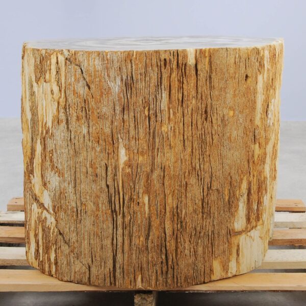 Side table petrified wood 48015