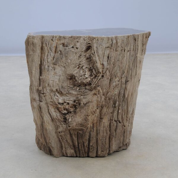 Side table petrified wood 48032
