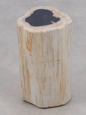 Side table petrified wood 51000