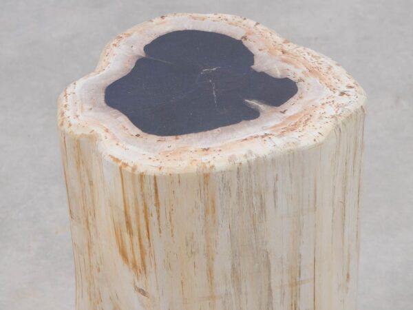 Side table petrified wood 51000