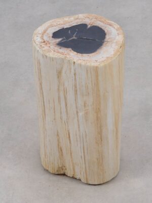 Side table petrified wood 51001