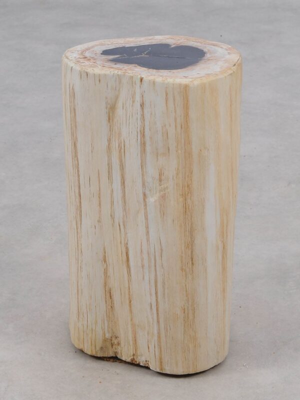 Side table petrified wood 51001