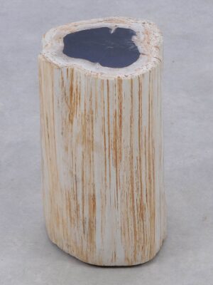 Side table petrified wood 51002