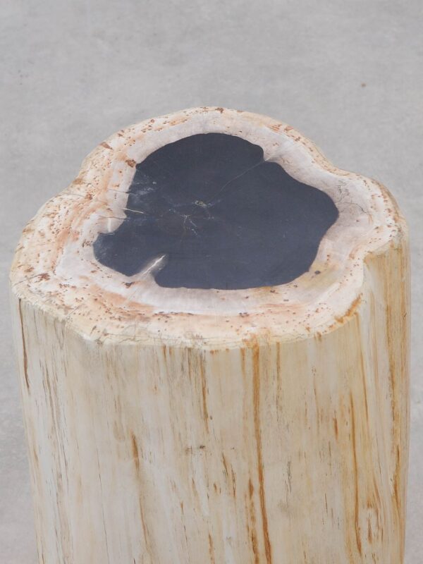Side table petrified wood 51002