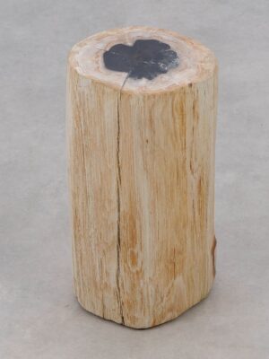 Side table petrified wood 51003