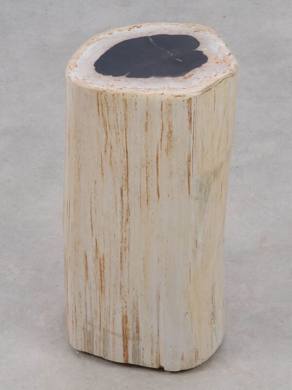 Side table petrified wood 51004