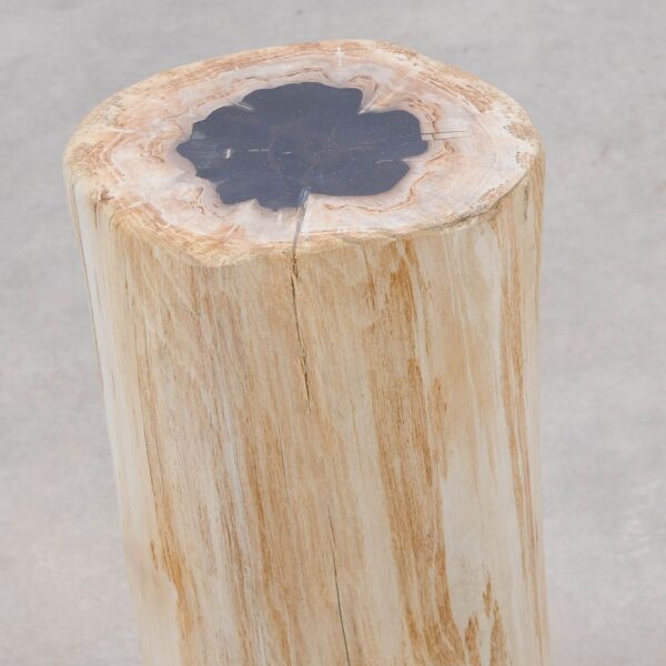 Side table petrified wood 51005
