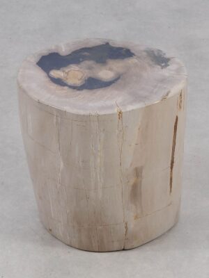 Side table petrified wood 51006