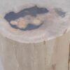 Side table petrified wood 51006