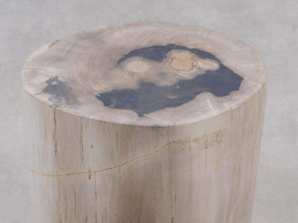 Side table petrified wood 51006
