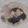 Side table petrified wood 51006