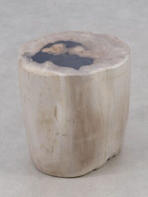 Side table petrified wood 51007