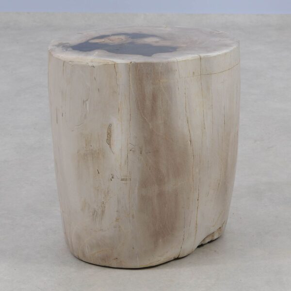 Side table petrified wood 51007