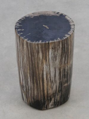 Side table petrified wood 51008