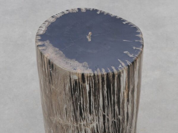 Side table petrified wood 51008