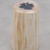 Side table petrified wood 51009