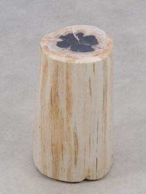 Side table petrified wood 51009