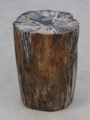 Side table petrified wood 51013