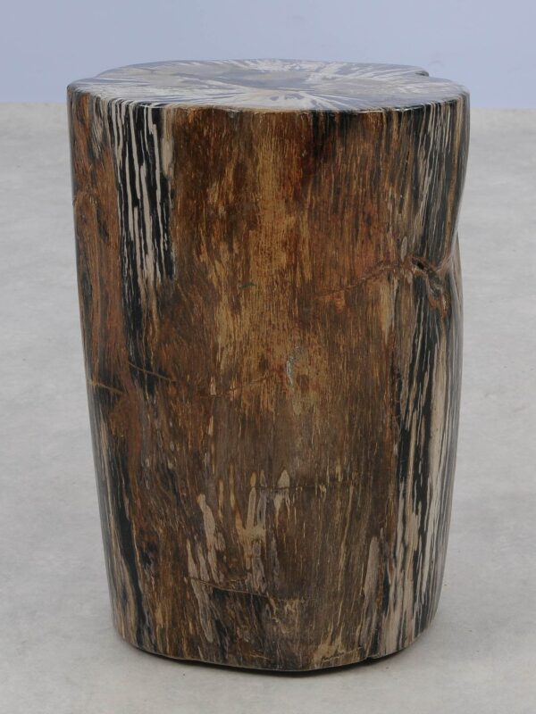 Side table petrified wood 51013