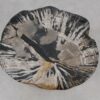 Side table petrified wood 51013