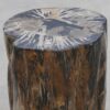 Side table petrified wood 51013