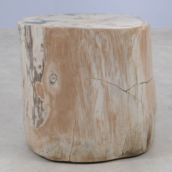 Side table petrified wood 51014
