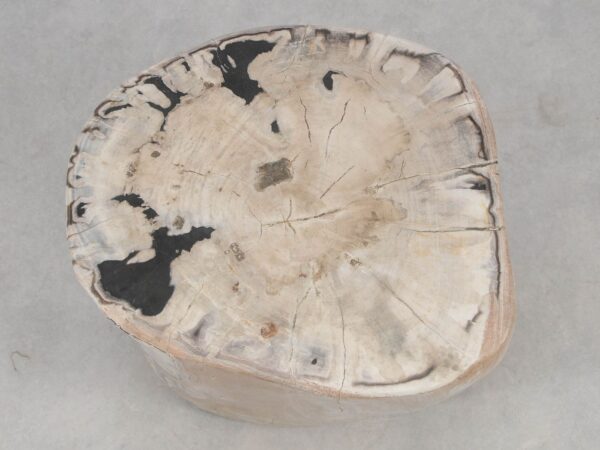Side table petrified wood 51014