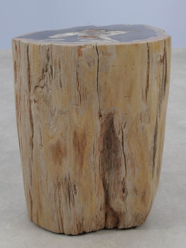 Side table petrified wood 51015