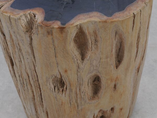 Side table petrified wood 51015