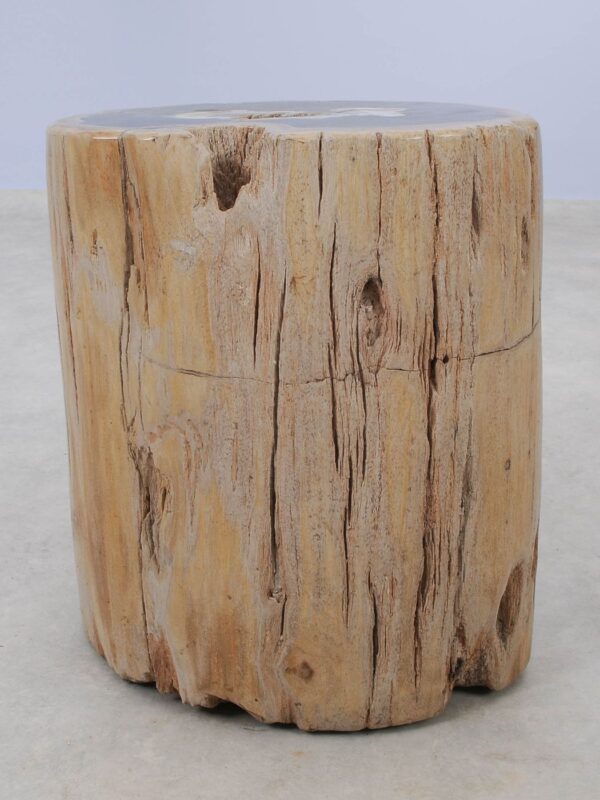 Side table petrified wood 51016
