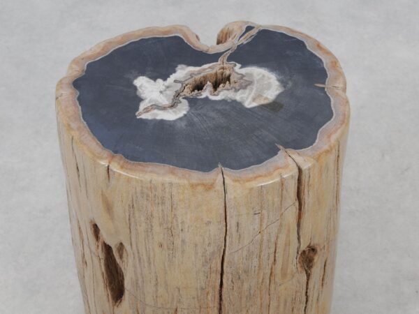 Side table petrified wood 51016