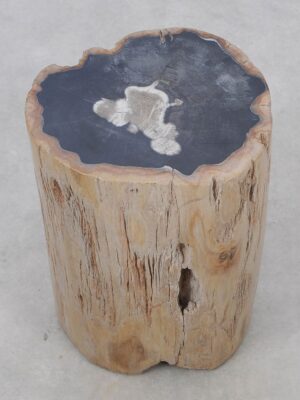 Side table petrified wood 51017