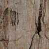 Side table petrified wood 51018