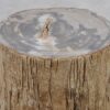 Side table petrified wood 51018