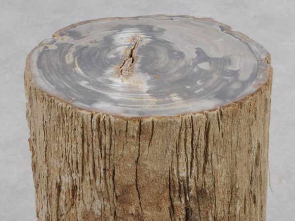 Side table petrified wood 51018