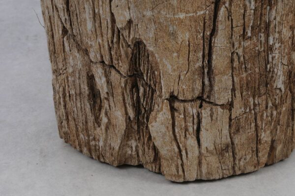 Side table petrified wood 51018