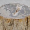 Side table petrified wood 51018