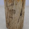 Side table petrified wood 51018