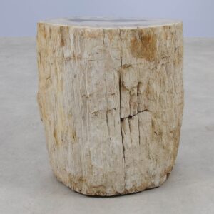 Side table petrified wood 51019