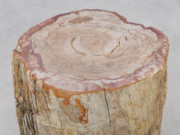 Side table petrified wood 51023