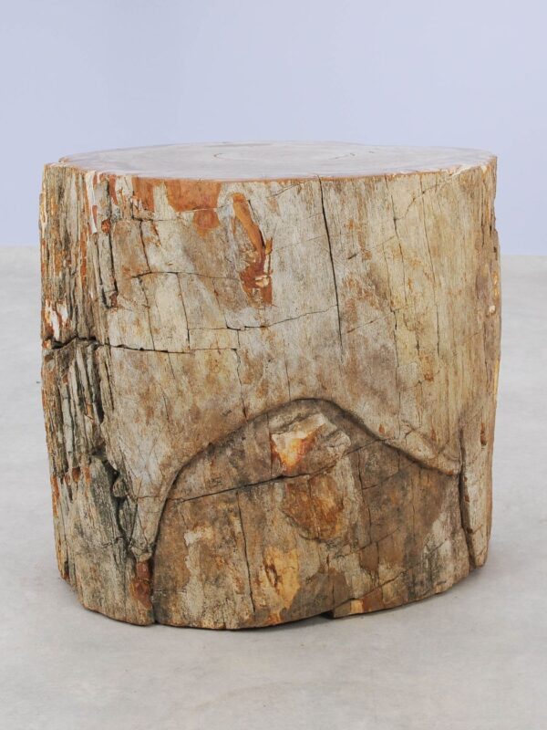 Side table petrified wood 51023
