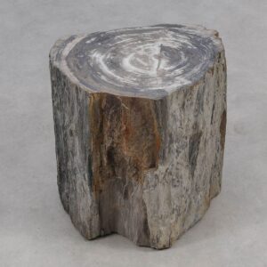 Side table petrified wood 51025