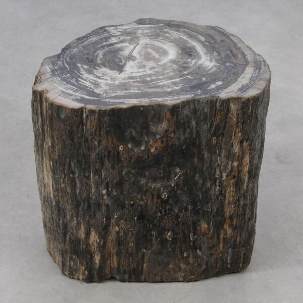 Side table petrified wood 51025