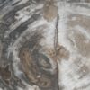 Side table petrified wood 51025