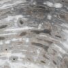 Side table petrified wood 51026