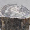 Side table petrified wood 51026